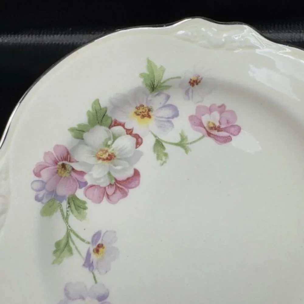Homer Laughlin Virginia Rose Platinum Trim USA Rose Floral 6inch Plate Dish Set3